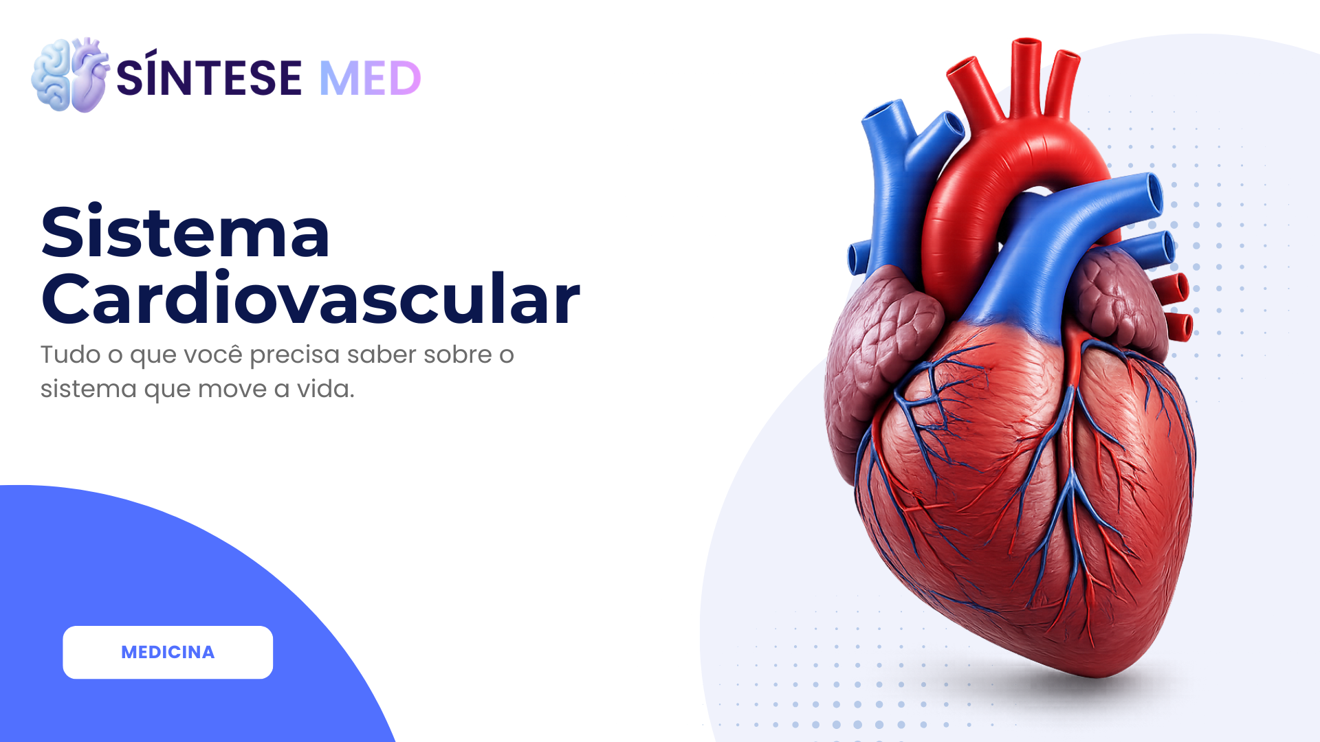 Sistema Cardiovascular